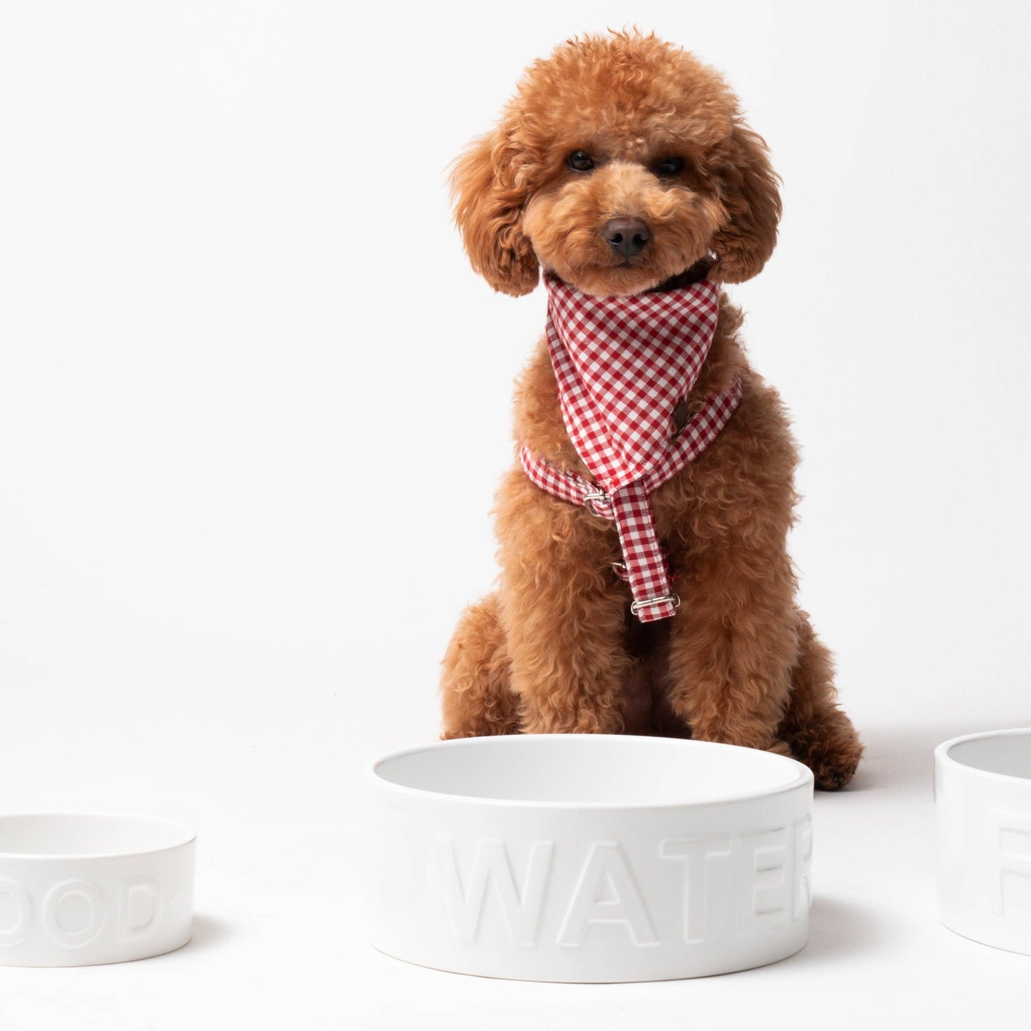 Vichy Basic Bandana.: Vichy Black / Size S