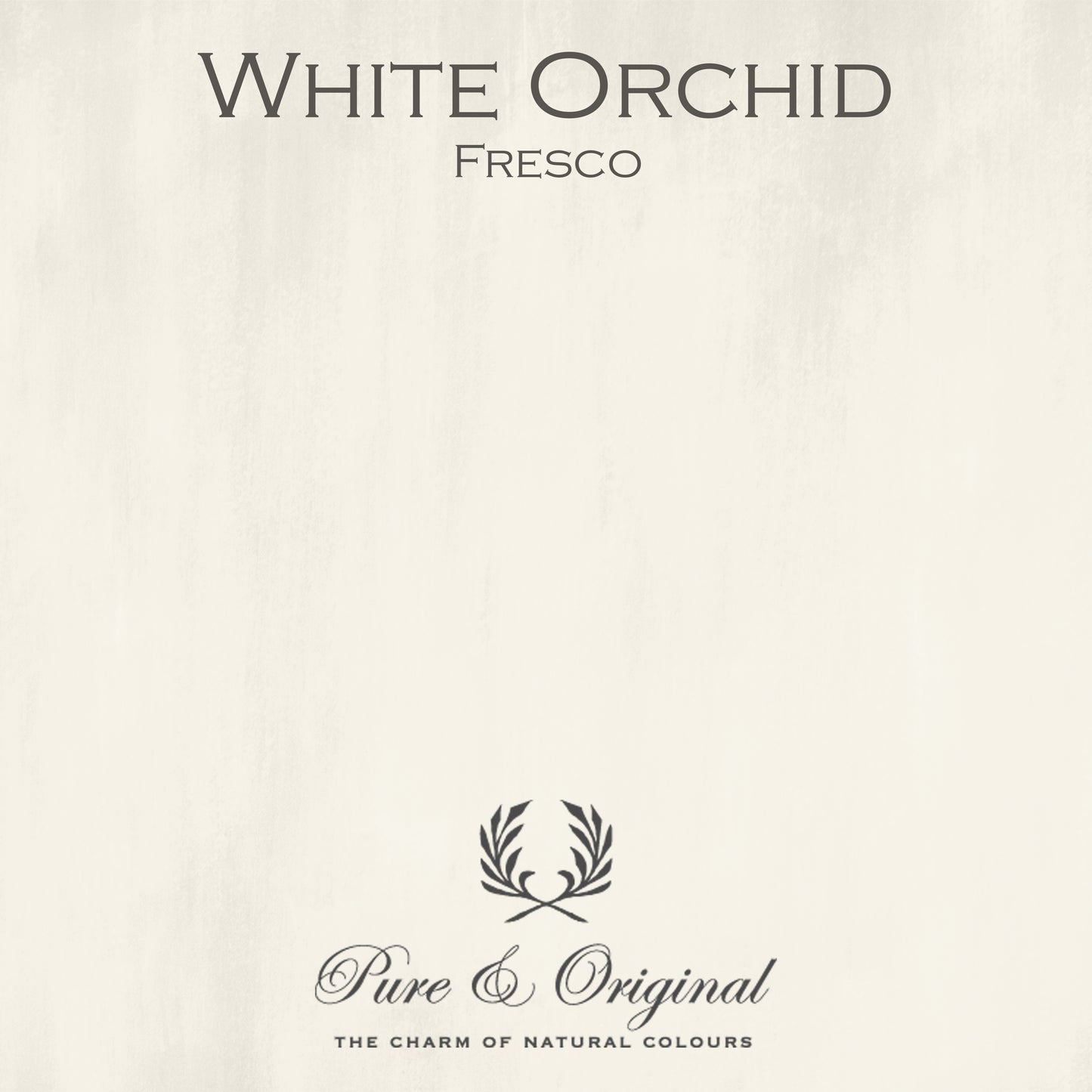 WHITE ORCHID