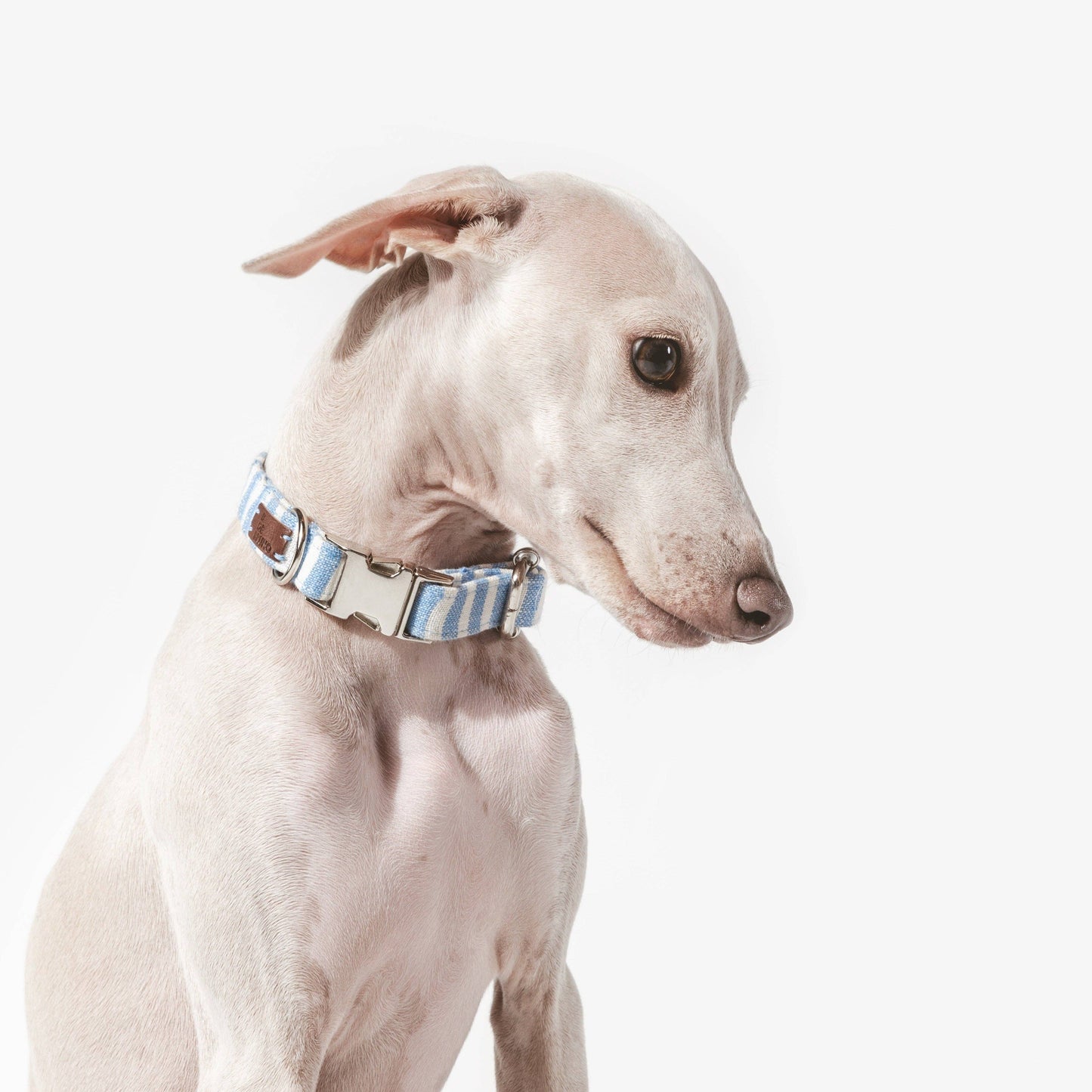 Click Levante necklace: Roche / Size M