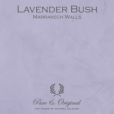 LAVENDER BUSH