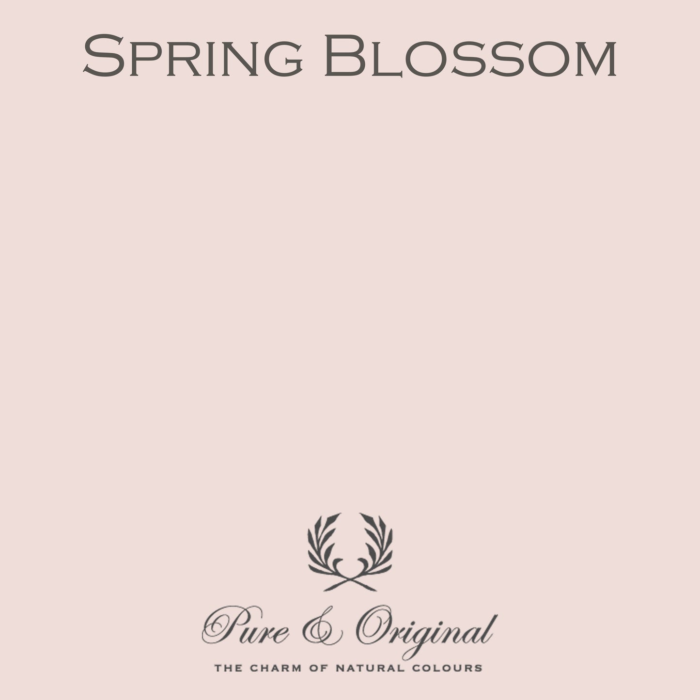 SPRING BLOSSOM