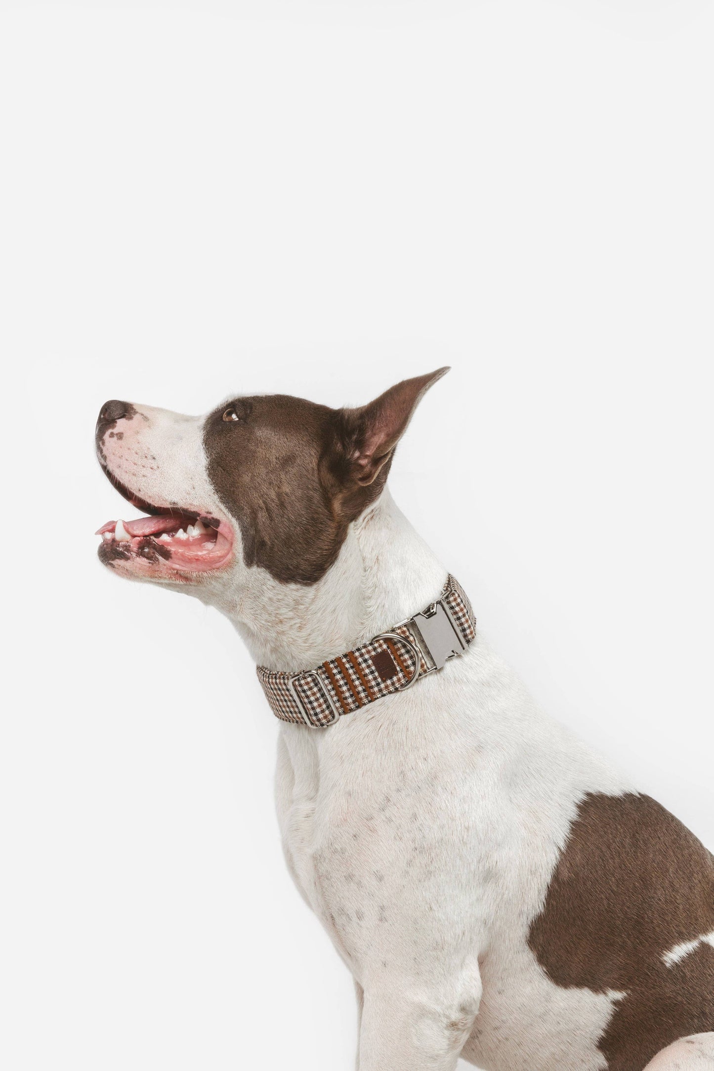 Click Romeo necklace: Size M