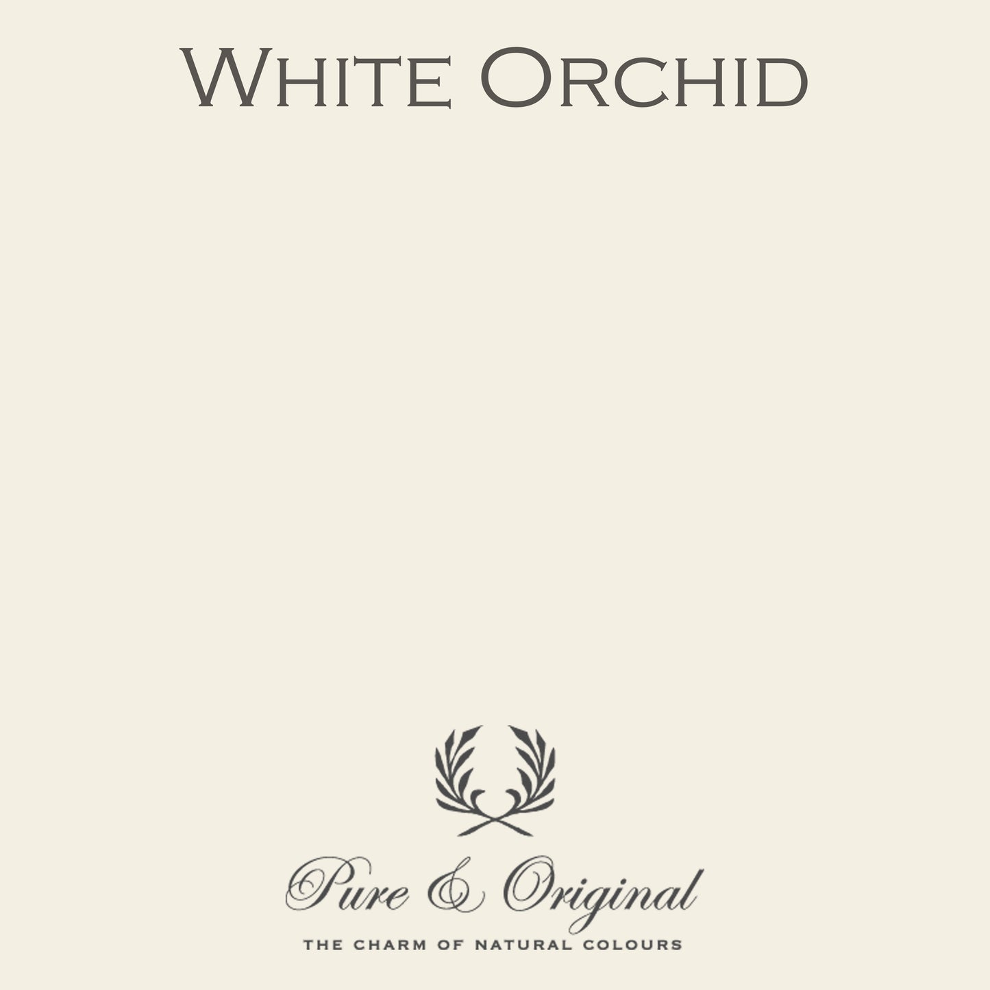 WHITE ORCHID