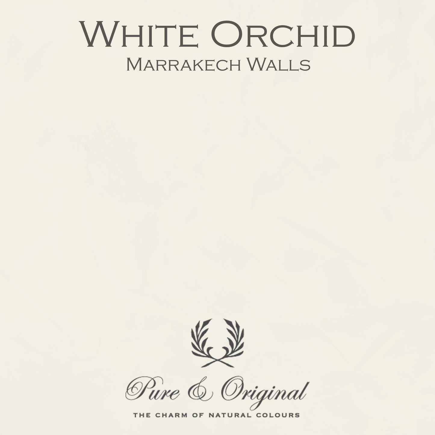 WHITE ORCHID