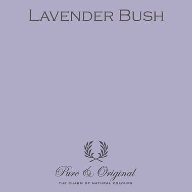 LAVENDER BUSH