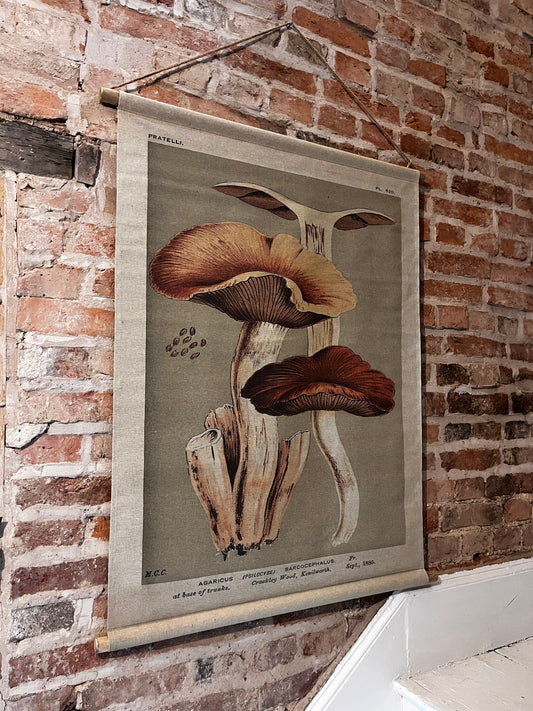Canvas hanging - Mushroom