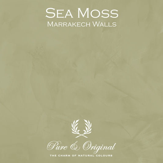 SEA MOSS