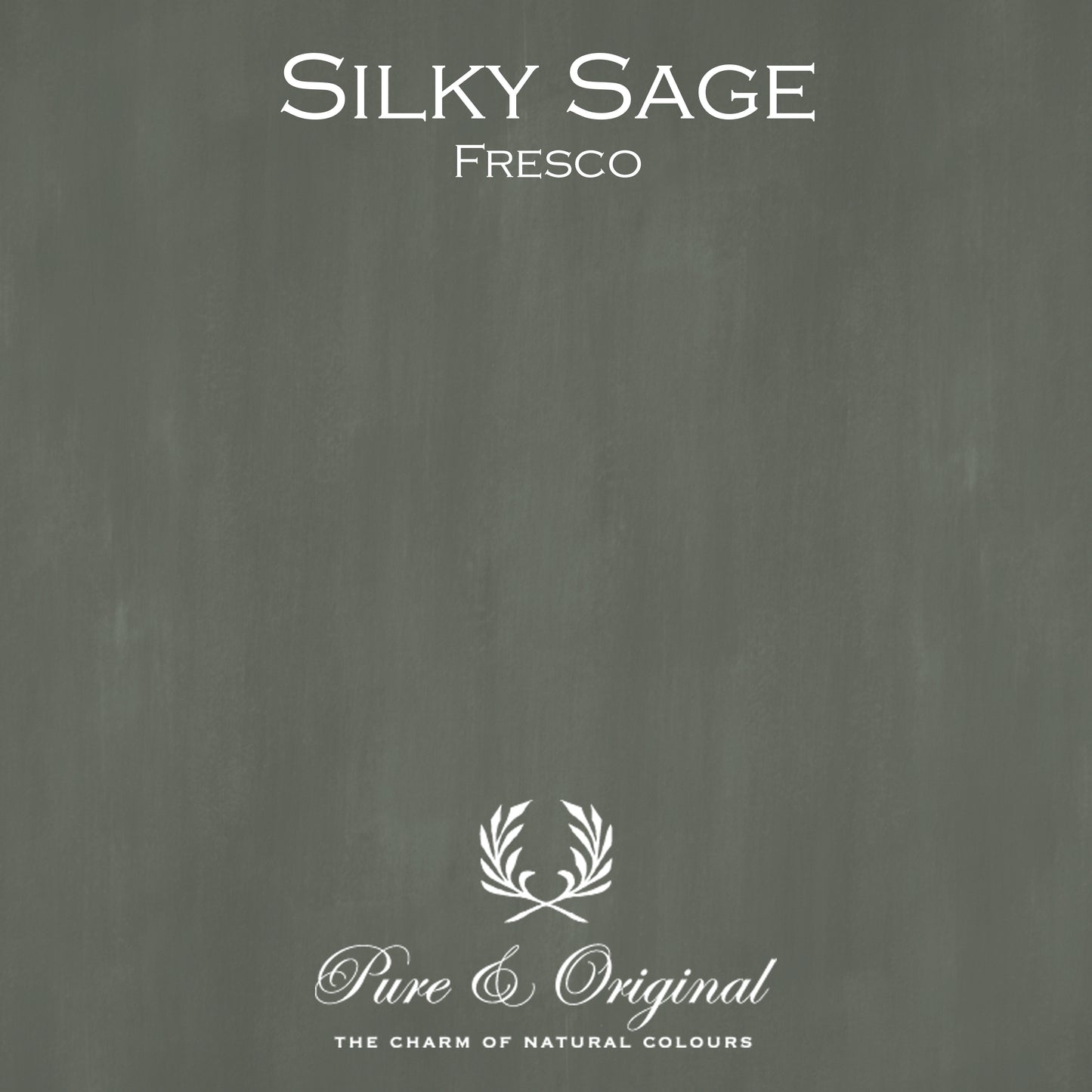 SILKY SAGE