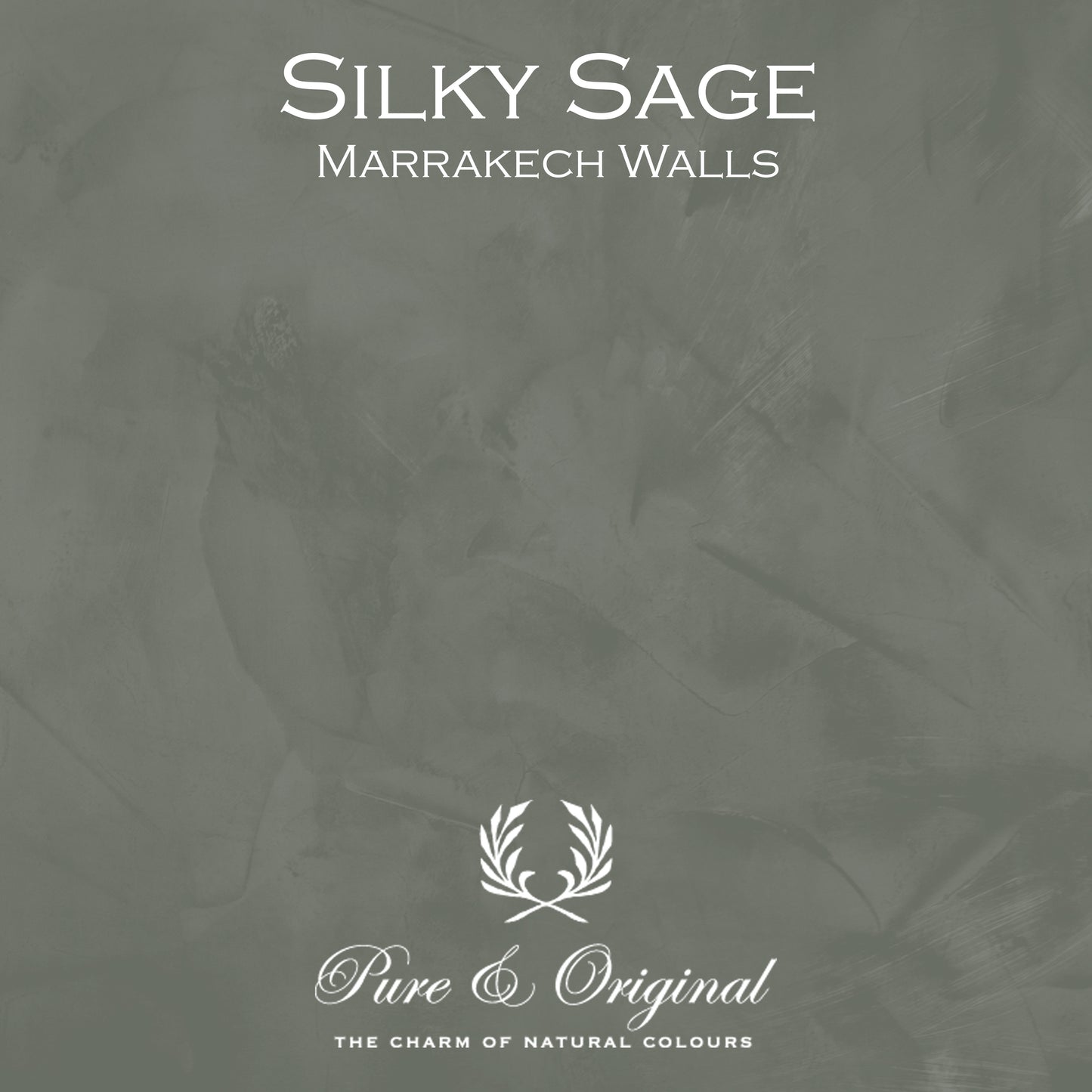 SILKY SAGE