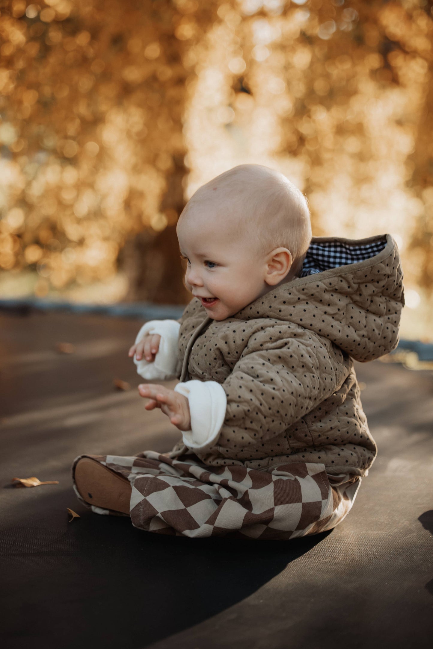 Annie & Charles® Cotton Pants CHESS: Brown / 3-4 Y
