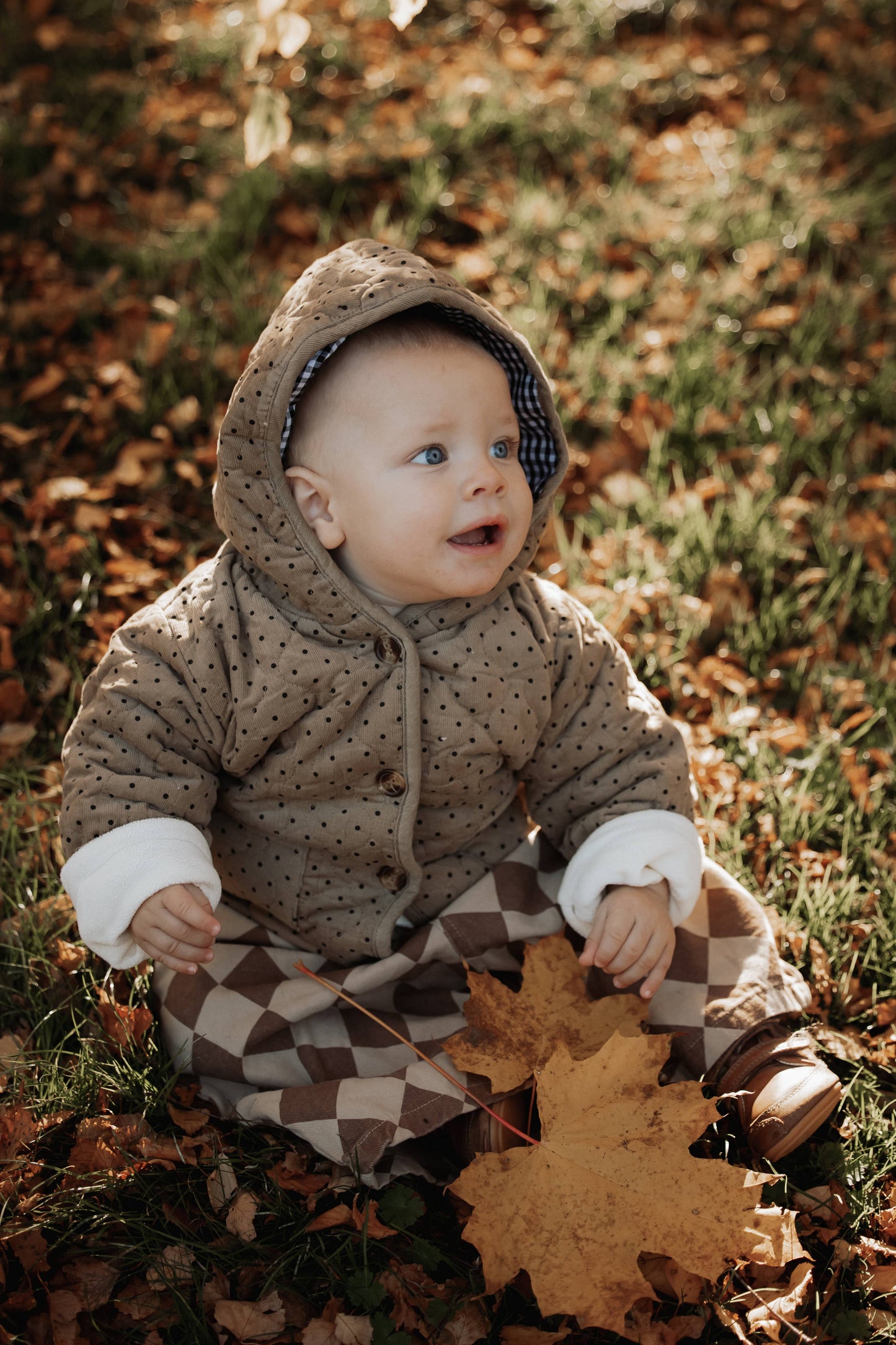 Annie & Charles® Cotton Pants CHESS: Brown / 12-18 M